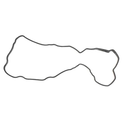 Gasket Valve 4899228 for Cummins® B Series